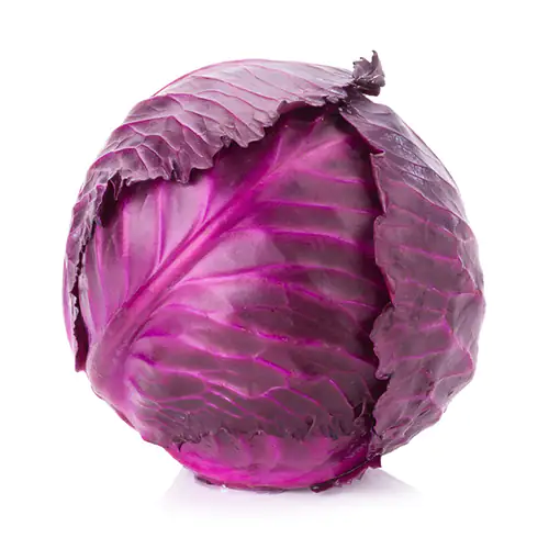 Red Cabbage 1Kg to 1.5kg Oman
